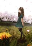  brown_hair dress field flower hairband kishida_mel original pantyhose ribbon solo wavy_hair 