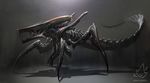  alien alien_(franchise) ambiguous_gender arthropod hybrid insectoid koryface monster solo starship_troopers warrior_bug xenomorph 