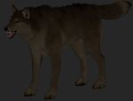  anatomically_correct canine fully_sheathed male mammal sheath wolf 