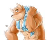  2014 abs biceps canine chest_tuft dog fur male mammal muscles pecs takemoto_arashi tuft 