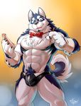  2015 abs biceps bow_tie bulge canine chest_tuft chippendales clothing dog fur husky male mammal muscles pecs takemoto_arashi tuft underwear wristband zipper 