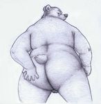  anthro backsack balls bear big_butt butt fur greyscale hand_on_butt looking_at_viewer looking_back low-angle_shot male mammal monochrome nude osos overweight plain_background rear_view solo standing white_background 