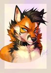  2015 black_hair black_markings blue_eyes canine collar countershade_face countershade_torso cress demicoeur facial_markings fluffy fox hair looking_at_viewer male mammal markings portrait slit_pupils solo watermark 