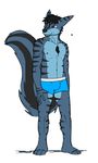  2015 anthro big_tail black_fur black_nose black_stripes blue_eyes blue_fur bulge clothing fur hair hindpaw hybrid lombax male mammal mojo paws ratchet_and_clank rj-pilot short_hair skunk skunkbax smile solo stripes underwear video_games 