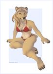  anthro anyare bear bikini breasts claws clothed clothing female hair looking_at_viewer mammal paws skimpy solo swimsuit 