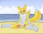  anthro blue_eyes breasts cloud digimon female fluffy_tail fur paws renamon sand sea sky solo water 