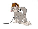  anus balls bark!_(artist) canine collar cub leash male mammal wolf young 