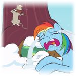  2015 arareroll crying equine female feral friendship_is_magic male mammal mouse my_little_pony pegasus rainbow_dash_(mlp) reptile rodent sad scalie tank_(mlp) tears turtle wings 