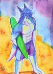  beach clothing discordnight muscles seaside sergal surf swimsuit 