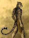  anthro black_fur brown_fur butt cheetah feline fur invalid_color king_cheetah male mammal portrait solo yellow_fur 