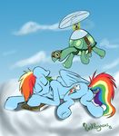  2015 equine female feral friendship_is_magic male mammal my_little_pony pegasus punk-pegasus rainbow_dash_(mlp) reptile scalie tank_(mlp) turtle wings 