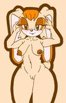  =3 anthro big_breasts breasts clitoris clothing damian_hodge female huge_breasts nipples plain_background pussy solo sonic_(series) sonic_the_hedgehog underwear vanilla_the_rabbit video_games wide_hips 