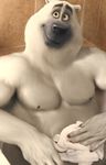  anthro anthrofied bear corporal_the_polar_bear edit male mammal muscles nipples oystercatcher7 photo_manipulation photomorph polar_bear the_penguins_of_madagascar 