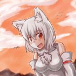  animal_ears bare_shoulders blush breasts chikinman detached_sleeves inubashiri_momiji large_breasts looking_at_viewer open_mouth orange_eyes orange_sky pom_pom_(clothes) ribbon-trimmed_sleeves ribbon_trim short_hair silver_hair sky solo touhou wolf_ears 