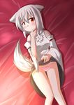  animal_ears bare_shoulders bed blush breasts chikinman detached_sleeves embarrassed inubashiri_momiji looking_at_viewer lying medium_breasts panties pom_pom_(clothes) red_eyes ribbon-trimmed_sleeves ribbon_trim short_hair silver_hair solo tail tears touhou underwear wolf_ears 