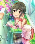  adjusting_hair ahoge black_hair breasts brown_eyes cleavage drinking_fountain grate gym_uniform idolmaster idolmaster_cinderella_girls kohinata_miho leaning_forward looking_at_viewer medium_breasts open_mouth short_hair solo sweat water wristband 