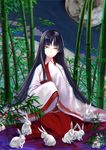  alternate_costume animal bamboo bamboo_forest black_hair brown_eyes bunny chromatic_aberration forest full_moon houraisan_kaguya japanese_clothes leaf long_hair long_sleeves looking_at_viewer moon nature night shirt sitting skirt smile sw_(2311550438) too_many too_many_bunnies touhou very_long_hair wide_sleeves 