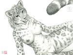  2015 anthro black_and_white breasts feline female jaguar kacey looking_at_viewer mammal monochrome nipples pencil pussy solo spots 