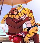  beach bear blush clothing cluddle feline mammal morenatsu muscles seaside speedo swimsuit tiger torahiko yuichi 