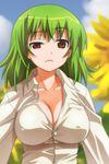  bad_id bad_pixiv_id bangs blue_sky blurry breasts cleavage cloud collarbone covered_nipples day depth_of_field dress_shirt flower frown green_hair impossible_clothes impossible_shirt kazami_yuuka large_breasts outdoors raised_eyebrow red_eyes shirt sky solo sunflower touhou umekichi unbuttoned uneven_eyes upper_body 