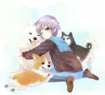  a-ka bangs brown_eyes cardigan dog hug husky japanese_spitz kita_high_school_uniform looking_back nagato_yuki one_eye_closed pack_of_dogs paw_print school_uniform serafuku shiba_inu short_hair silver_hair sitting solo sploot suzumiya_haruhi_no_yuuutsu wariza welsh_corgi 