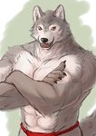  abs anthro biceps big_muscles canine clothing fur gomibako looking_at_viewer male mammal muscles pecs solo underwear wolf 