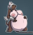  anthro belly big_belly big_breasts breasts canine female hose impaledwolf inflation kneeling mammal open_mouth 