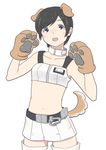  :d alternate_costume androgynous animal_ears bad_id bad_pixiv_id badge black_hair blush collar collarbone dog_collar dog_ears dog_paws dog_tail gloves midriff navel ojigiri_(hisano1202) open_mouth paw_gloves paws safety_belt shinatose_izana short_hair sidonia_no_kishi smile solo tail 