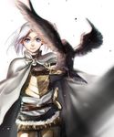  armor arslan arslan_senki bird blue_eyes cape highres long_hair noahxica white_hair 