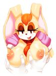  areolae breasts furry large_breasts mato_spectoru nipples puffy_nipples sega sonic_team sonic_the_hedgehog vanilla_the_rabbit 