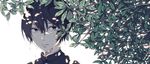  black_hair dappled_sunlight expressionless gakuran highres hitsuji_(hanatoutau) leaf male_focus original plant school_uniform solo sunlight tears water_drop 