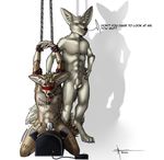  aennor akasch anal arms_avobe_head balls bdsm blush body_writting bondage bound canine chain chastity chastity_belt chastity_cage cuffs cum cum_on_face cumcontrol digitigrade domination fennec fox hair humiliation leather male male/male mammal nude orgasm_denial plain_background precum restrained sex sex_toy sheath submissive toy vibrator white_background xander 