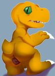  agumon anthro anus backsack bald balls barefoot butt claws digimon dinosaur jerseydevil looking_at_viewer looking_back male nervous nude open_mouth puffy_anus raised_tail rear_view scalie sharp_claws sharp_teeth short_tail solo standing teeth toe_claws tongue 