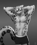  2015 anthro clothed clothing feline half-dressed kieran leopard littlefreckles looking_at_viewer male mammal muscles pecs snow_leopard solo spots topless underwear 