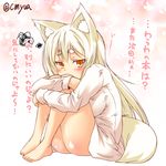  animal_ear_fluff animal_ears ass barefoot blonde_hair blush bottomless check_translation eyebrows fox_ears fox_tail kohaku_(yua) leg_hug long_hair long_sleeves looking_at_viewer naked_shirt original shirt slit_pupils solo squiggle sweat tail thick_eyebrows translation_request yellow_eyes yua_(checkmate) 