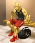  anthro back biceps big_muscles black_nose bodybuilder bodybuilding canine cellphone chase_(retriever) clothing dog duo feline feral fur golden_retriever green_eyes grey_fur headphones holding iphone male mammal muscles phone pose shirt shorts sitting smile tank_top toned vallhund weightlifting weights yellow_fur 