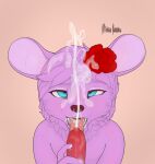 ahegao alex_ariel ambiguous_fluids animal_genitalia animal_penis anthro blue_eyes bodily_fluids canine_genitalia canine_penis cum cum_in_mouth cum_inside cum_on_face cumshot duo ejaculation fellatio femboy flower fur genital_fluids genitals hair hi_res looking_pleasured male mammal mingo_kodoku mouse murid murine open_mouth oral penile penis pink_body pink_fur pink_hair plant rodent rose_(flower) sex