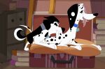 101_dalmatian_street 101_dalmatians absurd_res age_difference bedroom blurrypanda bodily_fluids book breath canid canine canis cheating_wife collar cum dalmatian delilah_(101_dalmatians) disney doggystyle domestic_dog duo female feral feral_on_feral from_behind_position genital_fluids hansel_(101_dalmatians) hi_res husky infidelity larger_female larger_penetrated leaking_cum looking_pleasured male male/female mammal mating_bite nordic_sled_dog older_female older_female_younger_male panting penetration penile penile_penetration sex size_difference smaller_male spitz suitcase tongue tongue_out younger_male