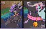 anthro belly breath cigar close-up collar grey_body hair hi_res open_mouth purple_eyes purple_hair smoke smoke_from_mouth smoking smoking_cigar solo_focus swimming_pool tongue tongue_out