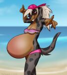 2026 anthro backwards_baseball_cap backwards_hat baseball_cap beach belly belly_blush big_belly bikini bikini_bottom bikini_top black_nose blonde_hair blurred_background blush body_blush brown_body brown_fur canid canid_demon canine canis clothing dachshund dansharkman demon digital_drawing_(artwork) digital_media_(artwork) domestic_dog english_description eyewear female fluffy fluffy_hair fur gesture glasses grey_body grey_fur grey_spots hair hand_gesture hat headgear headwear hellhound hi_res huge_belly humanoid_hands hunting_dog hybrid hyper hyper_belly hyper_pregnancy looking_at_viewer mammal markings mythological_canine mythological_creature mythology outside pepper_(dansharkman) pink_baseball_cap pink_bikini_bottom pointing pointing_at_viewer pregnant pregnant_anthro pregnant_female red_sclera sand sea smile smiling_at_viewer solo spots spotted_body spotted_fur standing sunglasses swimwear tied_hair two-piece_swimsuit water wearing_glasses white_eyes