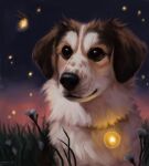 2022 alexpahomov ambient_arthropod ambient_firefly ambient_insect ambiguous_gender black_gums black_nose border_collie brown_body brown_ears brown_eyes brown_fur canid canine canis collie digital_media_(artwork) digital_painting_(artwork) domestic_dog facial_markings feral flower fluffy fur glowing glowing_body grass head_markings herding_dog hi_res mammal markings mixed_breed night painting_(artwork) pastoral_dog plant quadruped sheepdog solo tan_facial_markings tan_spots twilight whiskers white_body white_fur white_whiskers