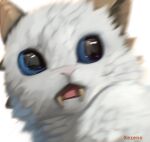 2021 2_horns absurd_res alpha_channel ambiguous_gender artist_name barioth blue_sclera blurred_character bust_portrait capcom colored detailed digital_drawing_(artwork) digital_media_(artwork) dragon fanged_wyvern fangs felid feline feral flying_wyvern fur headshot_portrait hi_res horn humor hybrid looking_aside looking_at_another mammal monster_hunter motion_blur mythological_creature mythological_scalie mythology open_mouth panicked_look panicking portrait prehistoric_species pupils reaction_image saber-toothed_tiger scalie scared shaded signature simple_background solo teeth text tongue transparent_background white_body white_fur xezeno