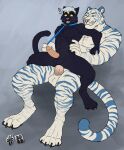 3_eyes abdominal_bulge anal anal_penetration animal_genitalia anthro anthro_on_anthro anthro_penetrated anthro_penetrating anthro_penetrating_anthro balls black_balls black_body black_fur black_sheath cheek_tuft chest_tuft domestic_cat duo facial_tuft fangs felid feline felis fur genitals glans glistening glistening_eyes green_eyes grey_background hi_res hufnaar humanoid_genitalia humanoid_penis hybrid_genitalia hybrid_penis male male/male male_anthro male_penetrated male_penetrating male_penetrating_male mammal markings multi_eye muscular muscular_anthro muscular_male no_sclera nude open_mouth pantherine pecs penetration penile penile_penetration penis penis_in_ass pink_nose pipe sex sheath sheathed_humanoid_penis simple_background size_difference slim_anthro slim_male spread_legs spreading striped_arms striped_legs striped_markings striped_tail stripes tail tail_markings teeth tiger tuft whiskers white_balls white_body white_fur white_sheath yellow_eyes