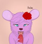 ahegao alex_ariel ambiguous_fluids animal_genitalia animal_penis anthro blue_eyes canine_genitalia canine_penis duo fellatio femboy flower fur genitals hair hi_res looking_pleasured male mammal mingo_kodoku mouse murid murine open_mouth oral penile penis pink_body pink_fur pink_hair plant rodent rose_(flower) sex