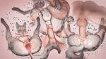 16:9 2026 absurd_res anthro anus balls big_penis blush bodily_fluids breasts colored cum cum_in_vagina cum_inside digitigrade disembodied_penis duo english_text eye_roll felid female fluffy fluffy_tail from_front_position full_nelson full_nelson_(legs_held) genital_fluids genitals grey_body heart_symbol hi_res human human_on_anthro impregnation interspecies interspecies_impregnation khajiit male male/female mammal markings mating_press microsoft multiple_scenes penetration penis sex shaded shaking size_difference small_breasts smaller_female spots spotted_body tail text the_elder_scrolls tongue tongue_out translucent translucent_penis trembling vaginal vaginal_penetration wassnonnam widescreen