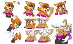 2026 5:3 anthro bat blush canid canine duo embarrassed female fox hand_on_belly hi_res mammal mexelements rouge_the_bat sega slightly_chubby sonic_the_hedgehog_(series) species_transformation surprised transformation transformation_sequence