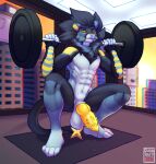 absurd_res anthro anthrofied balls barbell bodily_fluids city city_background cityscape duskari7 exercise felid feline generation_4_pokemon genital_fluids genitals hi_res knot knotted_penis luxray male mammal nintendo nude nude_anthro nude_male penis pokemon pokemon_(species) precum scrotum_flap solo squats squatting_pose sunset sweat sweatdrop workout