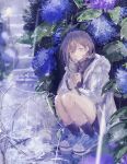  1girl absurdres bang_dream! bang_dream!_it's_mygo!!!!! black_shirt black_socks blue_shoes brown_eyes closed_mouth commentary flower grey_hair hair_between_eyes highres hydrangea latte_bf rain shirt shoes short_hair socks solo squatting takamatsu_tomori transparent transparent_umbrella umbrella 