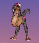 anthro backwards_baseball_cap backwards_hat baseball_cap belly belly_blush big_belly bikini bikini_top black_nose blep blonde_hair blush body_blush brown_body brown_fur canid canid_demon canine canis clothing dachshund dansharkman demon domestic_dog female flip_flops fluffy fluffy_hair footwear fur gradient_background grey_body grey_fur grey_spots hair hand_on_own_belly hat headgear headwear hellhound hi_res huge_belly humanoid_hands hunting_dog hybrid hyper hyper_belly hyper_pregnancy leaning leaning_forward looking_at_viewer mammal markings mythological_canine mythological_creature mythology pepper_(dansharkman) pink_baseball_cap pink_bikini_bottom pink_flip_flops pregnant pregnant_anthro pregnant_female purple_background red_sclera red_tongue sandals shoes simple_background solo spots spotted_body spotted_fur standing swimwear tail tied_hair tongue tongue_out two-piece_swimsuit white_eyes