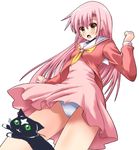  blush brown_eyes cat hairband hayate_no_gotoku! katsura_hinagiku long_hair panties pink_hair school_uniform shinshin shiranui_(hayate_no_gotoku) solo underwear 